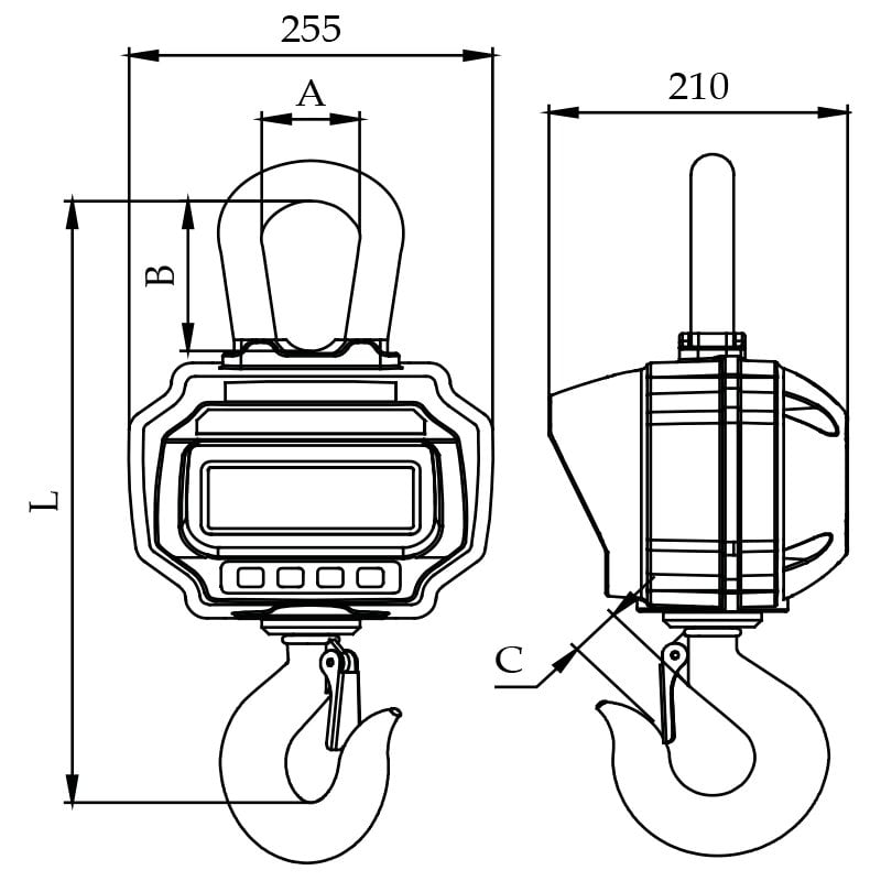 Dillon BCS Digital Crane Scale