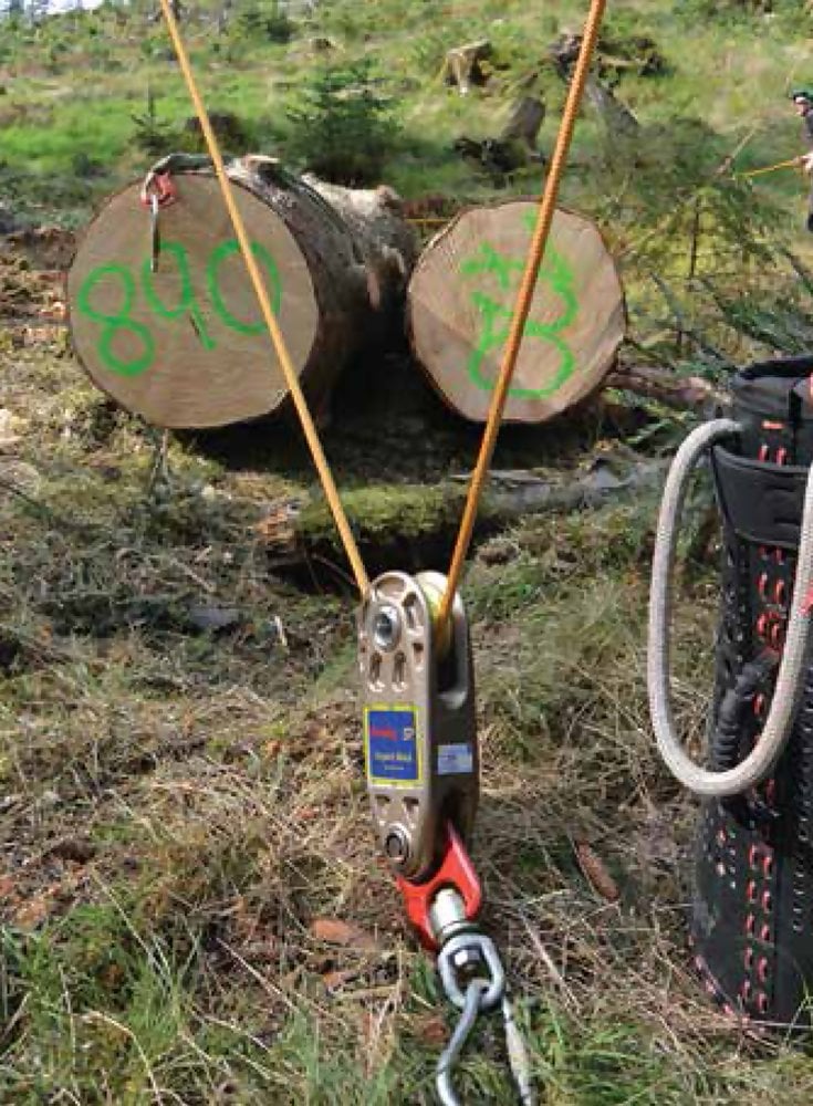 Straightpoint WIB Wireless Arborist Impact Block Load Cell