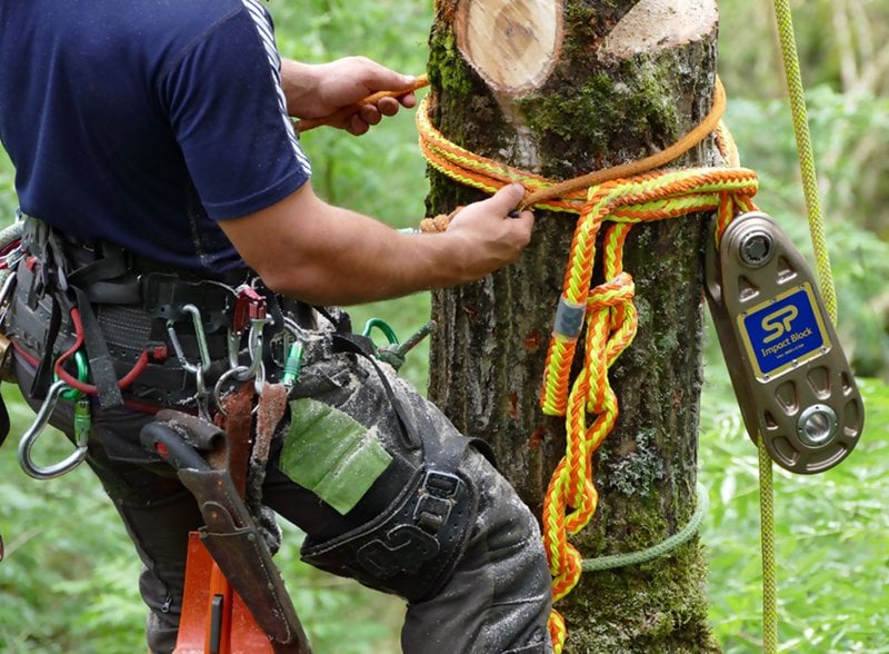 Straightpoint WIB Wireless Arborist Impact Block Load Cell